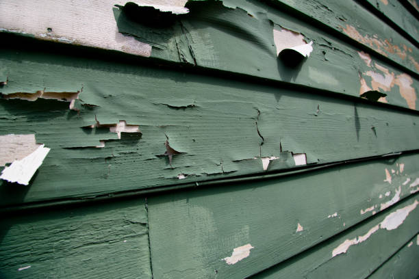 Best Composite Siding  in Seaville, NJ