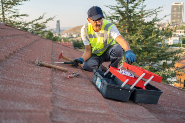 Affordable siding repair and maintenance services in Seaville, NJ